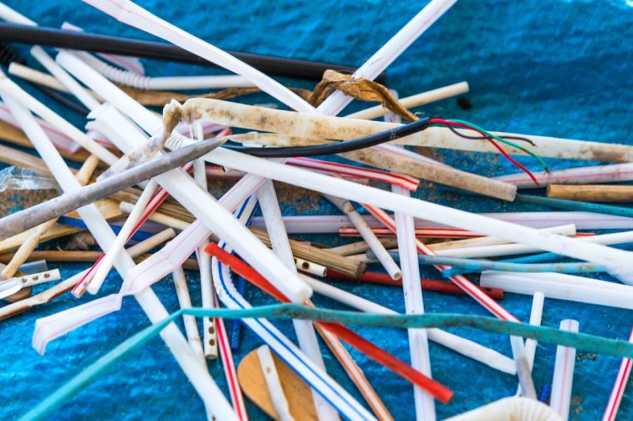 No more single-use straws or stirrers from 2022