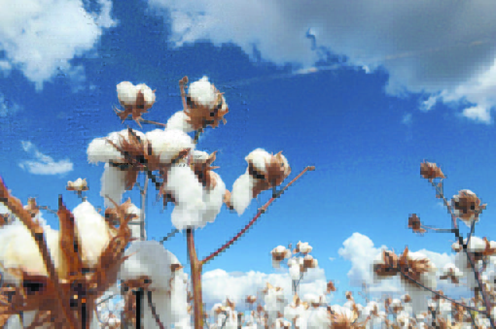 Brazilian cotton producers seal another deal with China