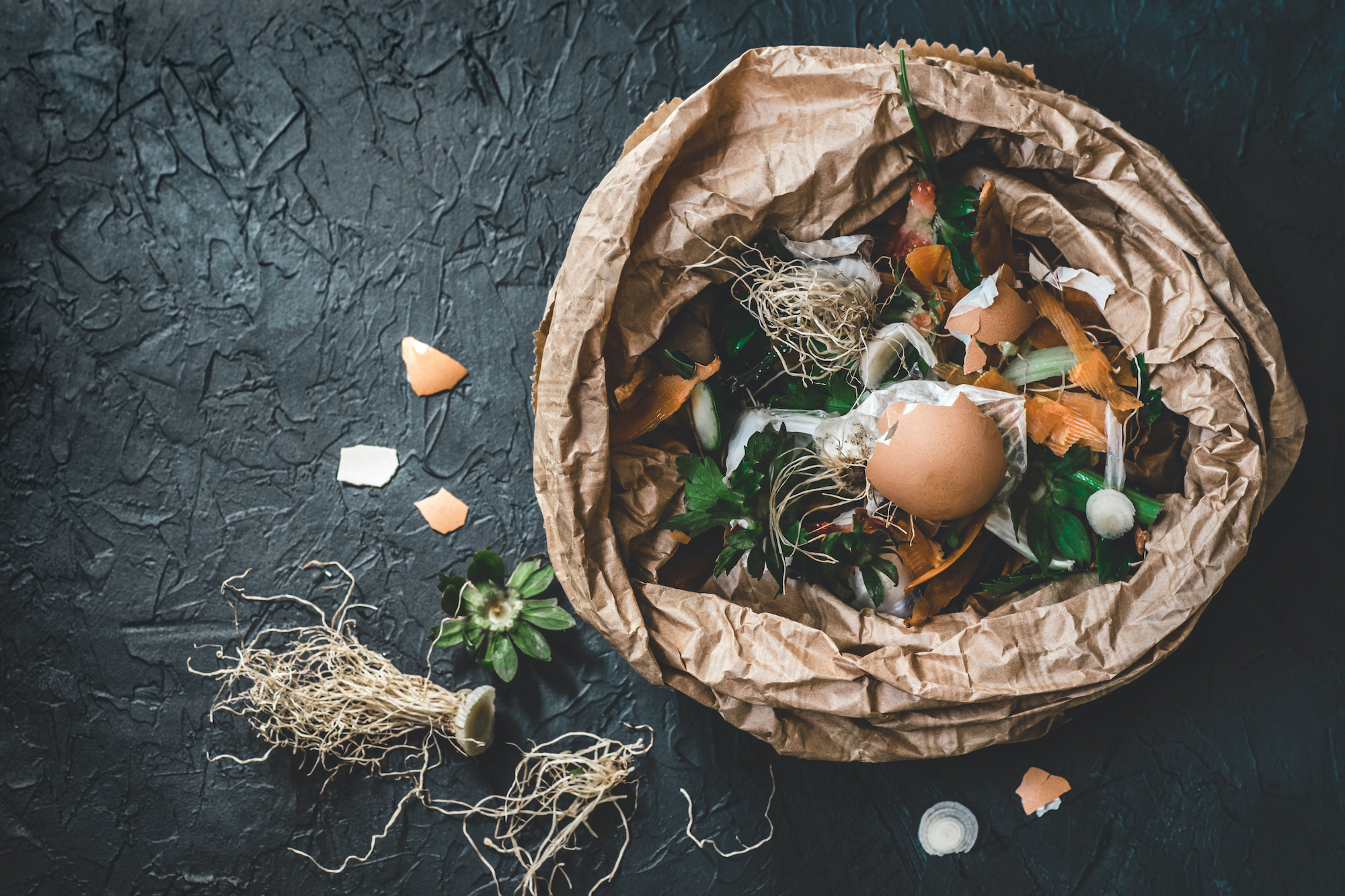 food waste and sustainability