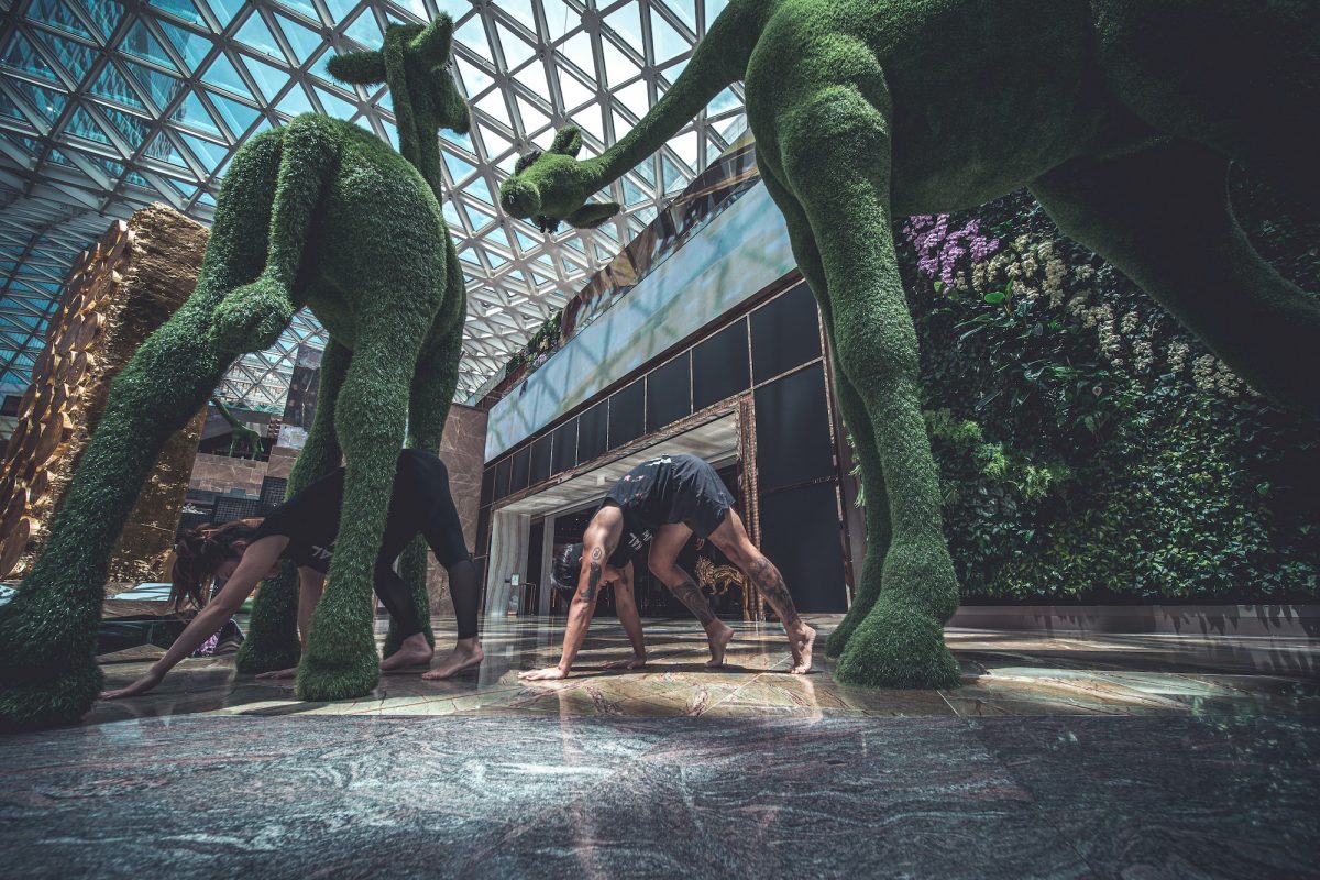 Go with the flow with Animal "Flow-er" Clark Cheung | Macao News