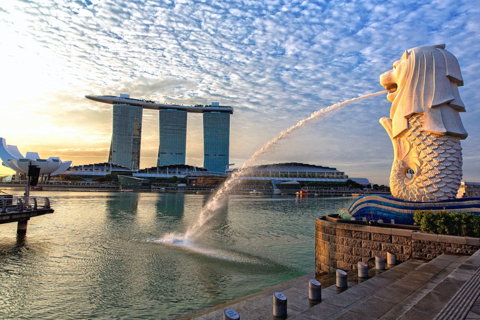 Сингапур картинки фото символика