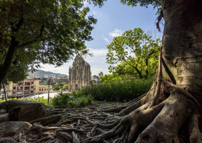Snap a Memory of Macao: 10 photo-worthy spots and how to capture them