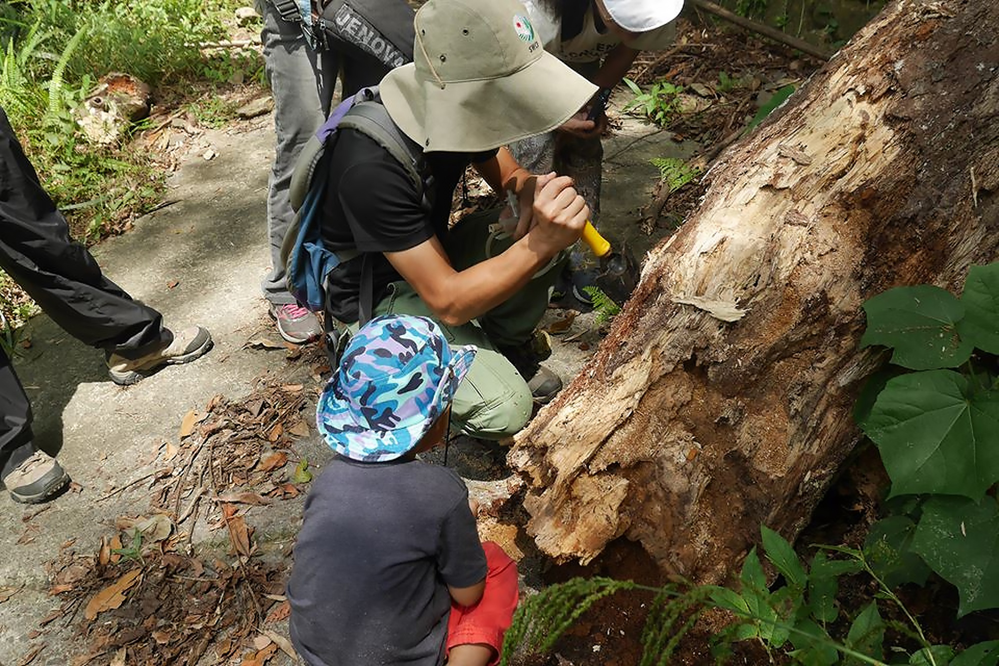 Danny Leong leading nature walks