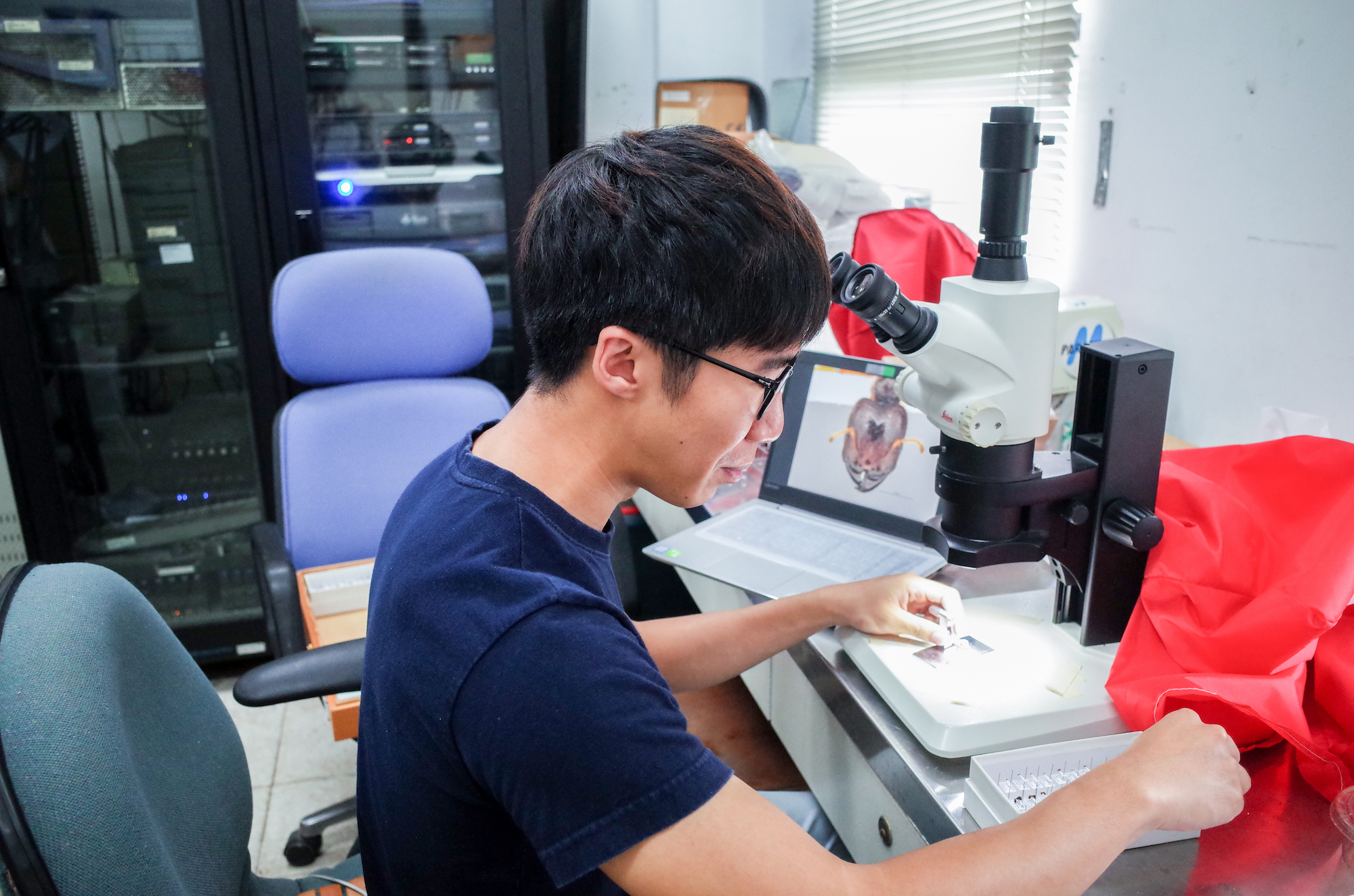 Danny Leong studying an ant sample