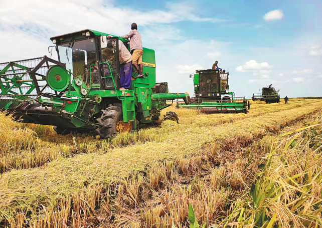 China Railway 20 Bureau Group provides vital assistance for Mozambican agriculture