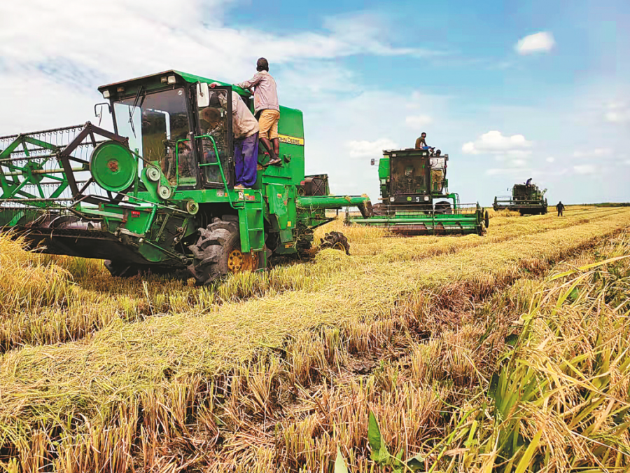 China Railway 20 Bureau Group provides vital assistance for Mozambican agriculture