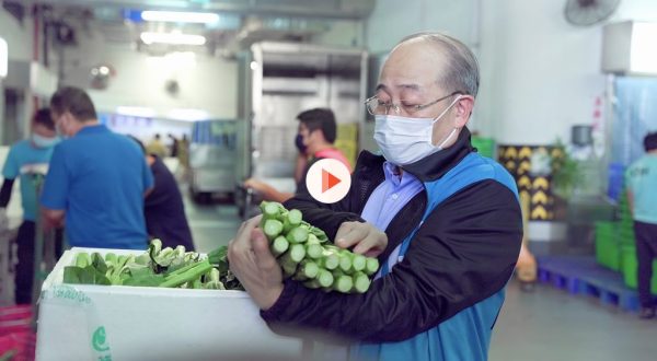 Growing with Sands China: Business flourishes for local vegetable supplier