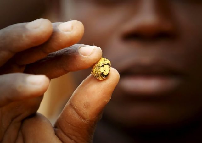 Mozambique’s gold production hits record-breaking 800 kilos
