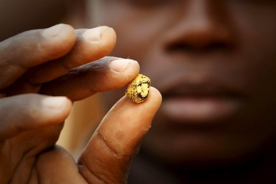 Mozambique’s gold production hits record-breaking 800 kilos