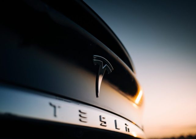 Tesla turns to Mozambique to reduce dependence on China for graphite
