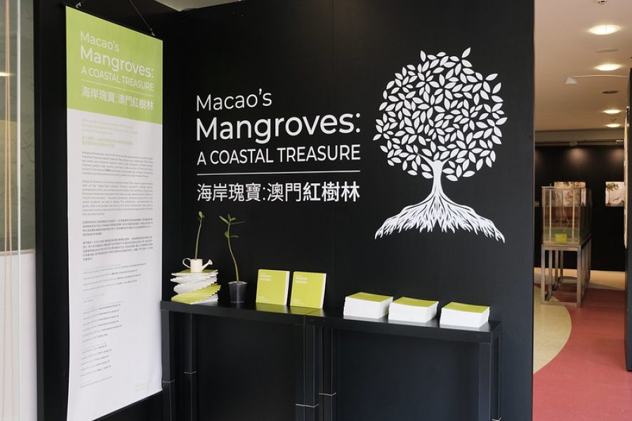 Made-in-Macao mangrove expo heads to Portugal