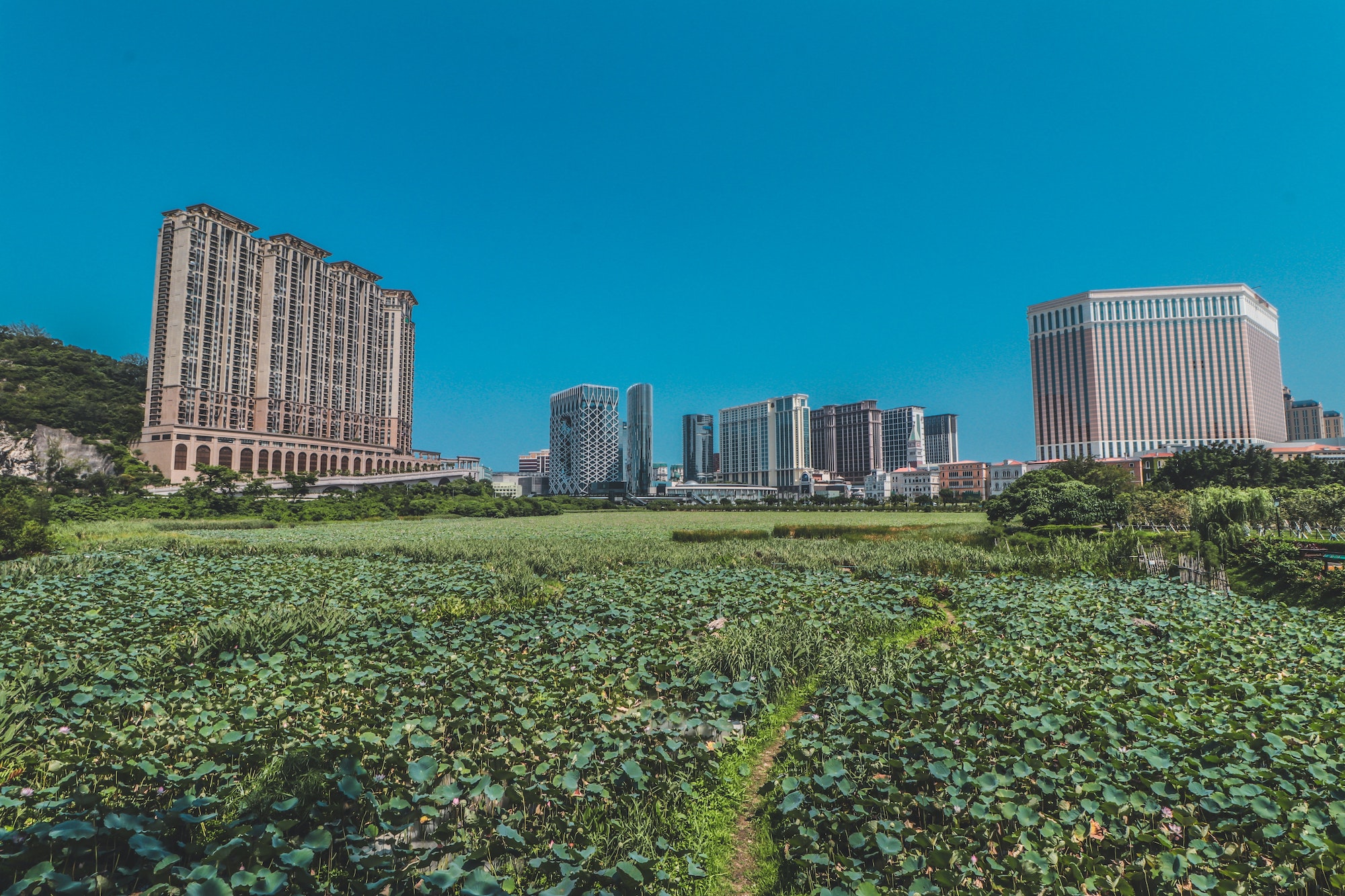 41st Macao Green Week kicks off this Sunday