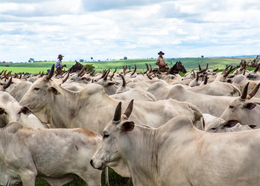 China boosts Brazilian beef exports despite occasional suspensions