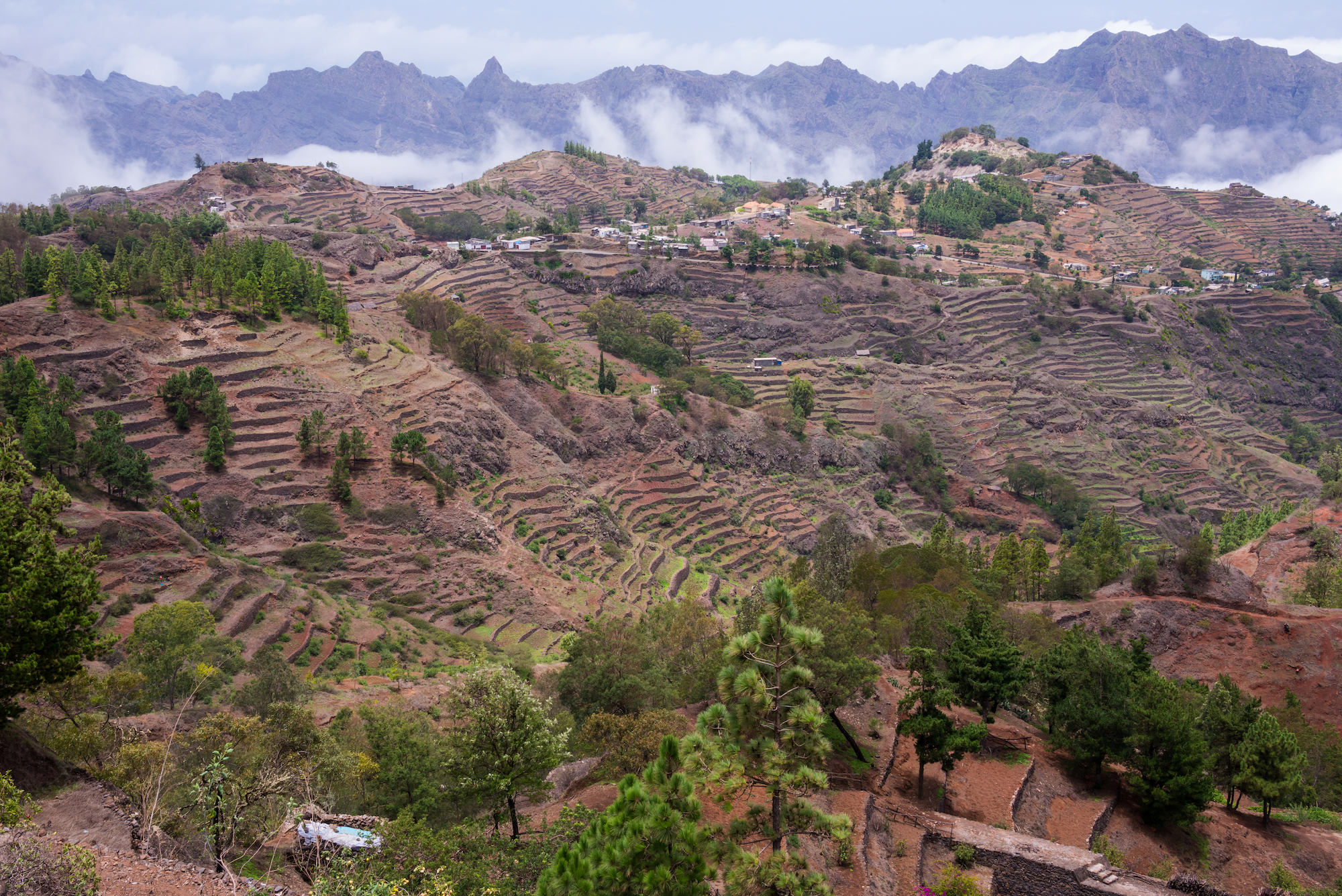 Chinese experts to support Cabo Verde against threat to agriculture