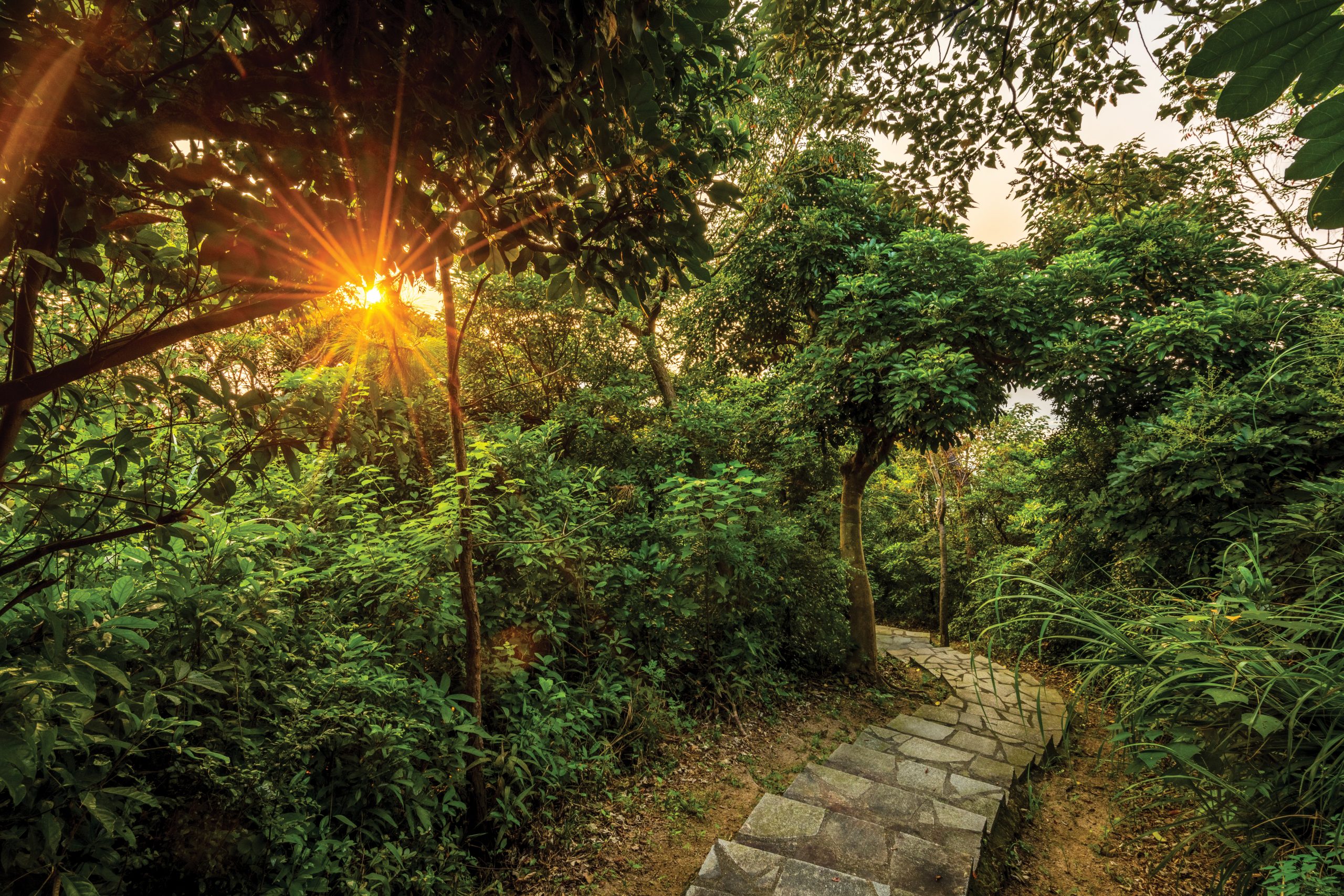 Tried and tested: Macao’s 5 best hiking trails