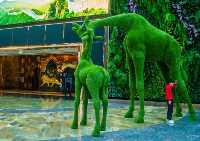 Macao Green Hotel Award spotlights 14 Macao properties