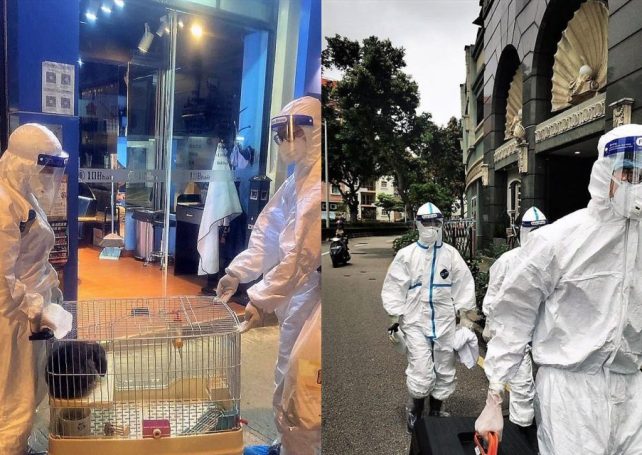 Macao’s Home Alone pets fall victim to Covid-19 after owners quarantined