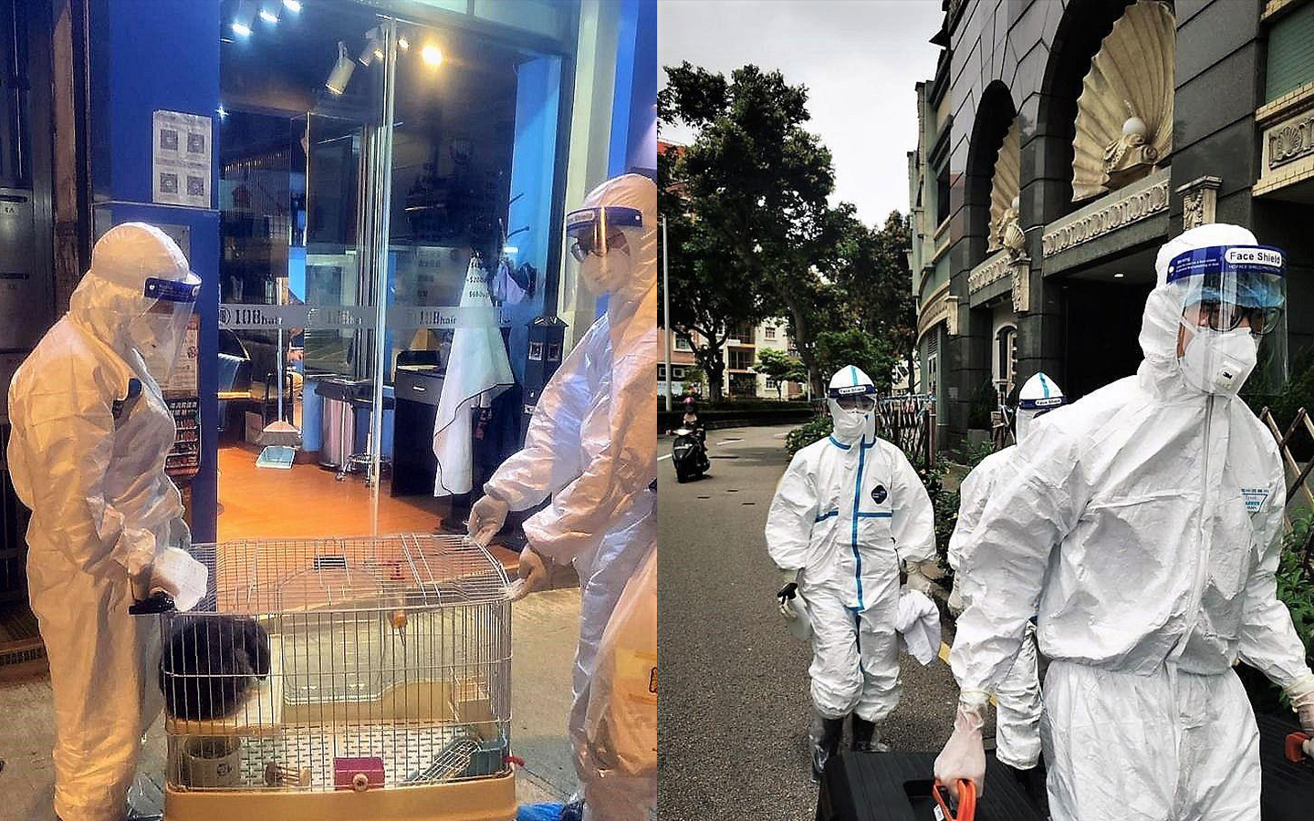 Macao’s Home Alone pets fall victim to Covid-19 after owners quarantined