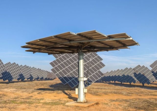 Feasibility study launched for 300MW solar-plus-storage project in Mozambique