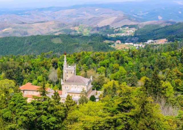 A beginner’s guide to Bairrada: An often-overlooked Portuguese wine region