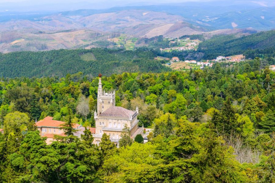 A beginner’s guide to Bairrada: An often-overlooked Portuguese wine region