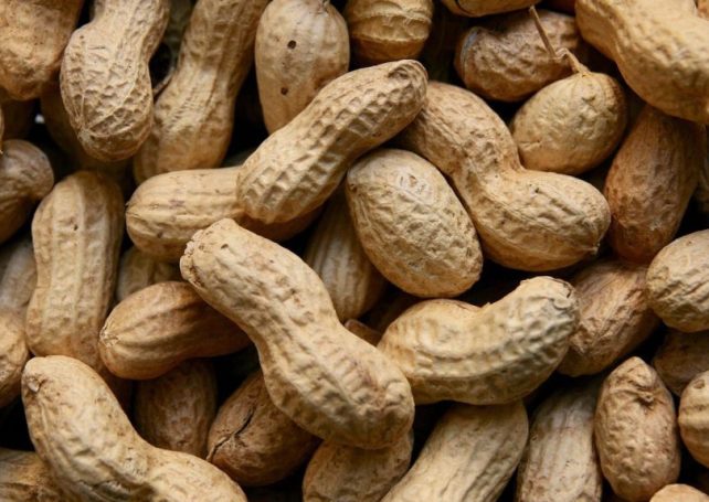 China authorises peanut imports from Brazil