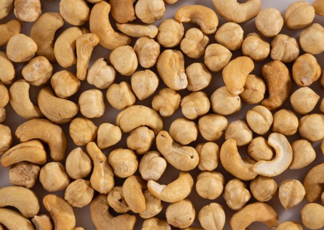 Chinese state-owned company to build cashew processing units in Guinea-Bissau