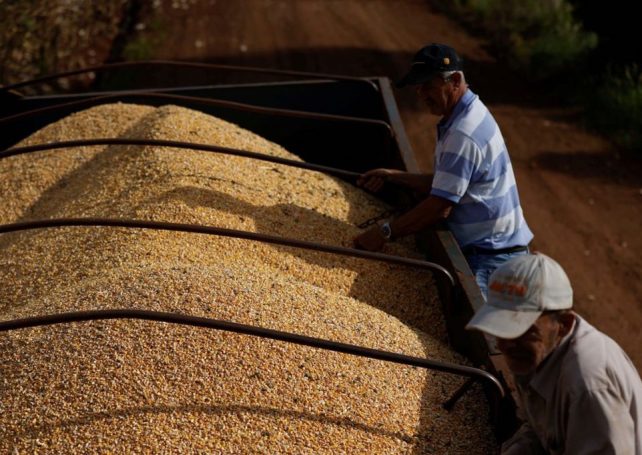 Brazil’s 2023 corn exports could get big boost from China