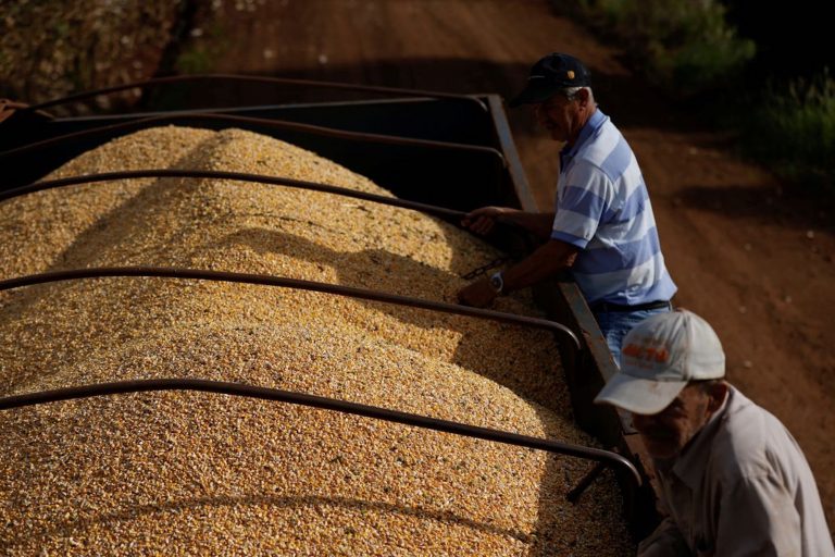 Brazil's 2023 corn exports China