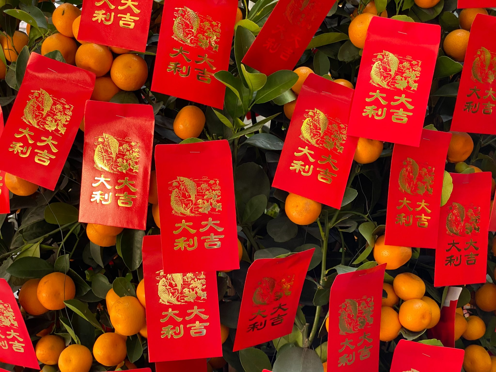 7 Chinese New Year traditions to fill your holiday with joy, luck and