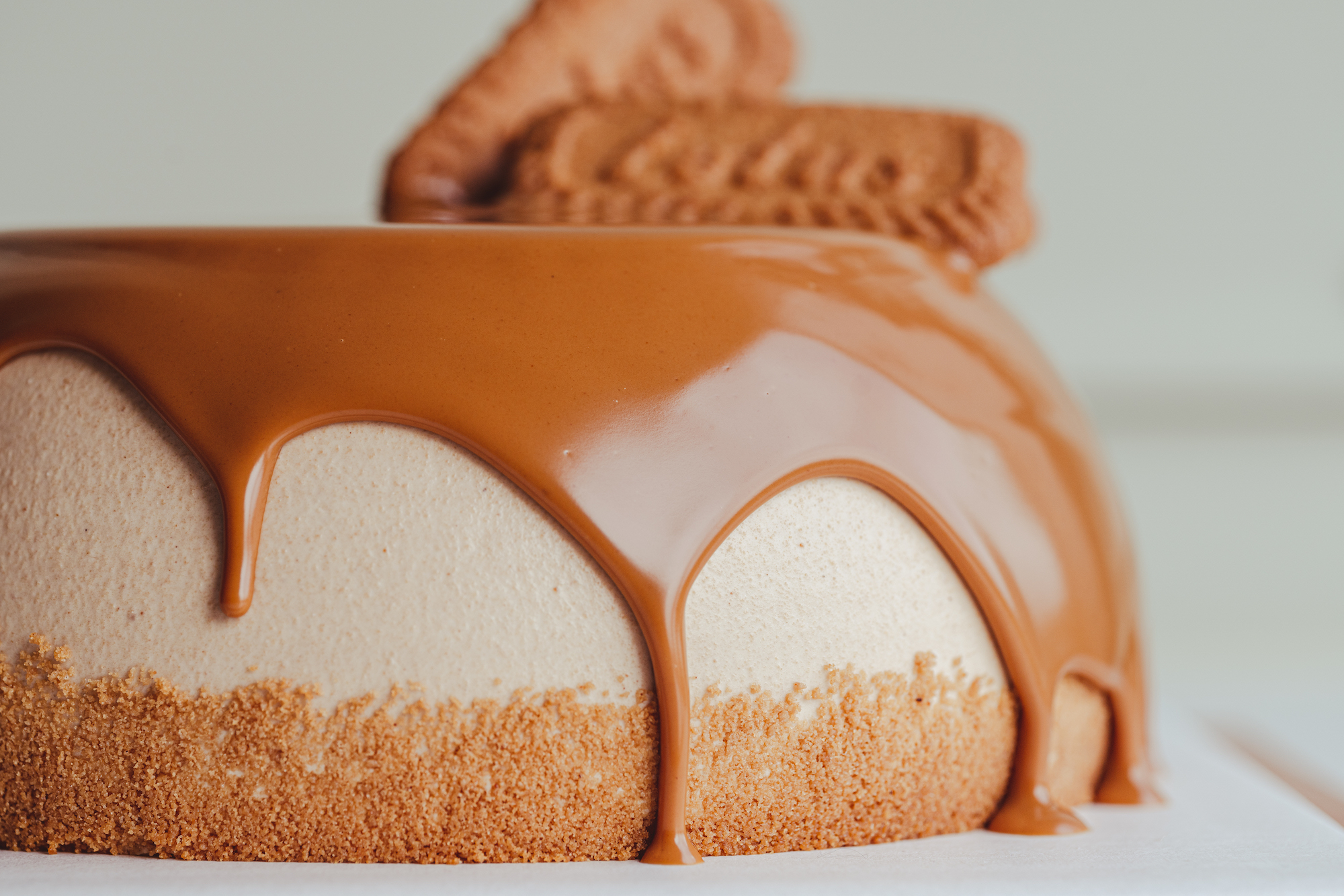 The Lotus Biscoff Cream Cake