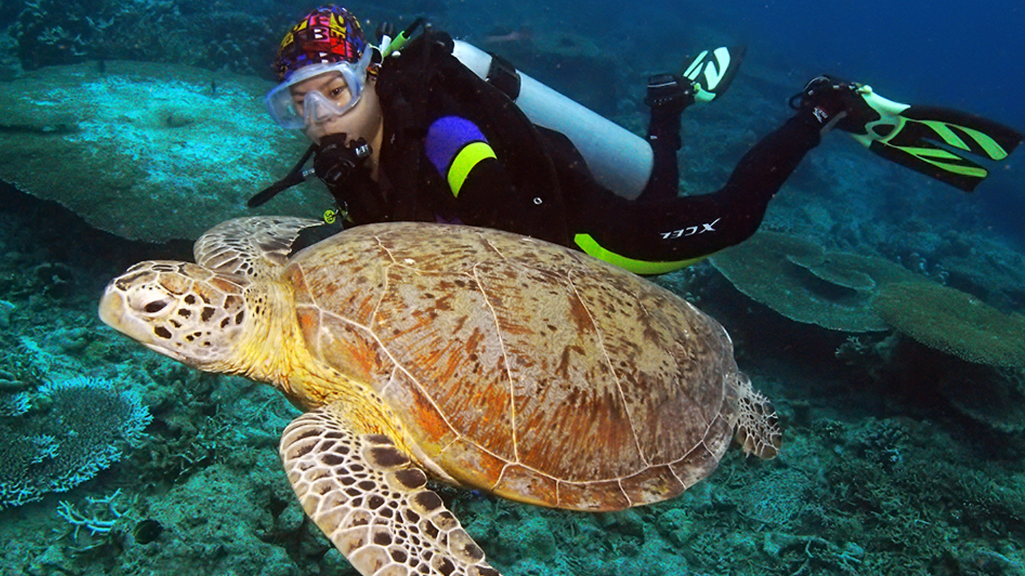 Coron divers