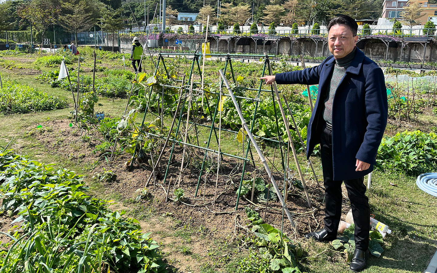 Happy Farm urban gardening