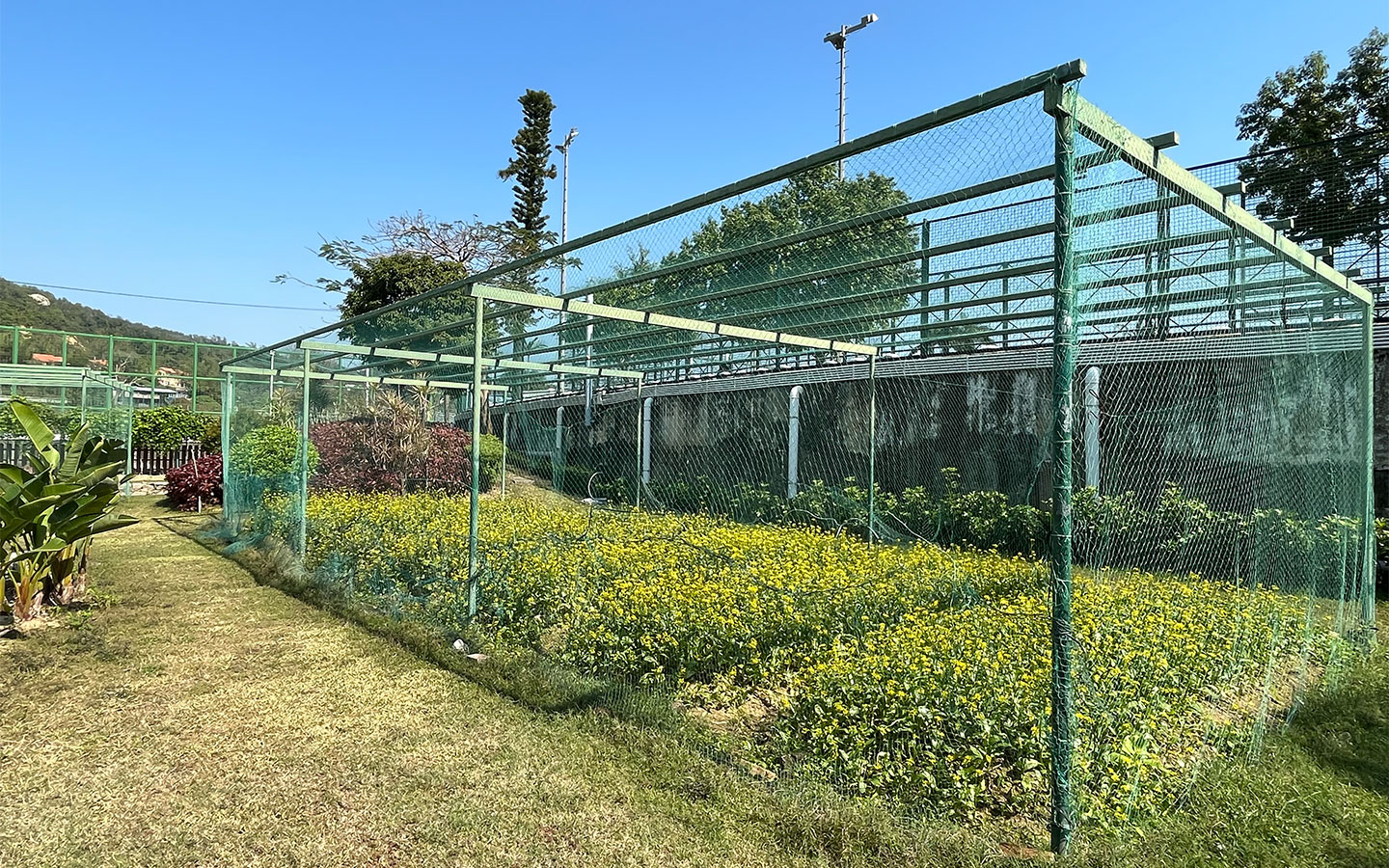 Happy Farm urban gardening