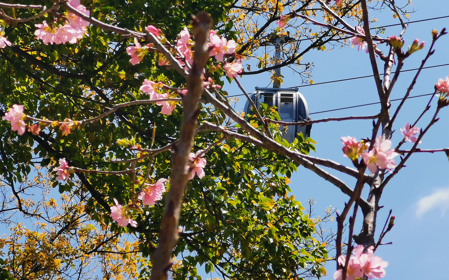 A hotter, drier spring is in store for Macao, meteorologists predict