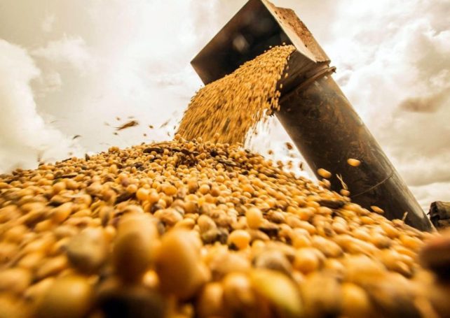 Brazil’s exports of soybeans to China are set to boom