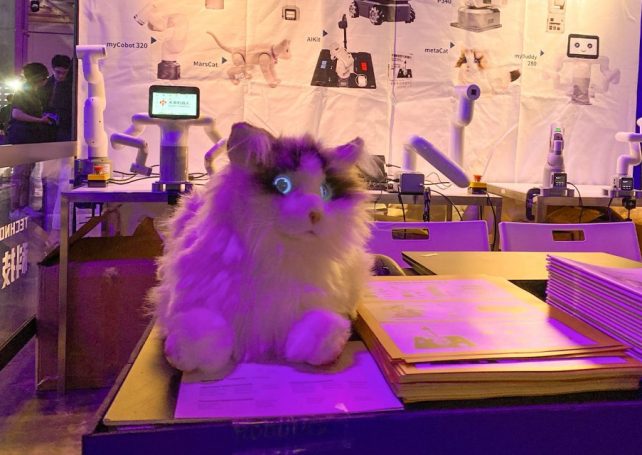 Purrfect Companions: How robotic cats are fighting loneliness