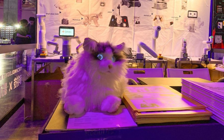 Purrfect Companions: How robotic cats are fighting loneliness