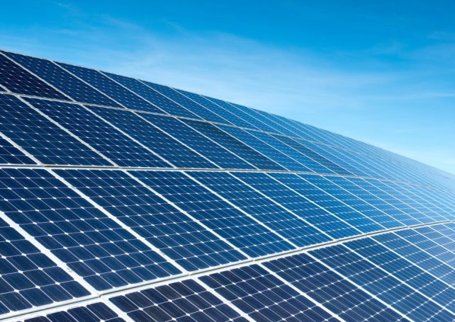 Portugal’s EDPR unveils new solar energy project in China’s Anhui province
