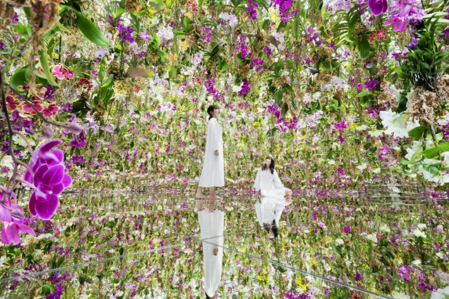 How teamLab built an interactive universe inside Macao