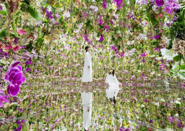 How teamLab built a stunning interactive universe inside The Venetian Macao
