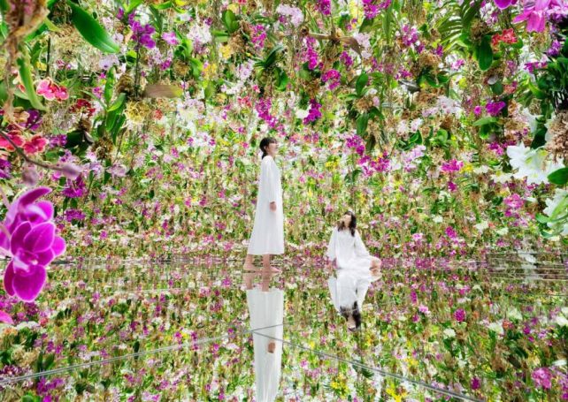 How teamLab built a stunning interactive universe inside The Venetian Macao