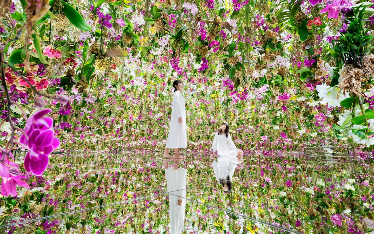 How teamLab built a stunning interactive universe inside The Venetian Macao