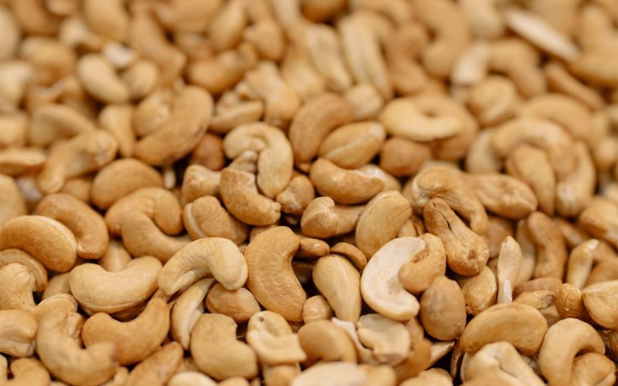 Hainan goes nuts over Mozambican cashews