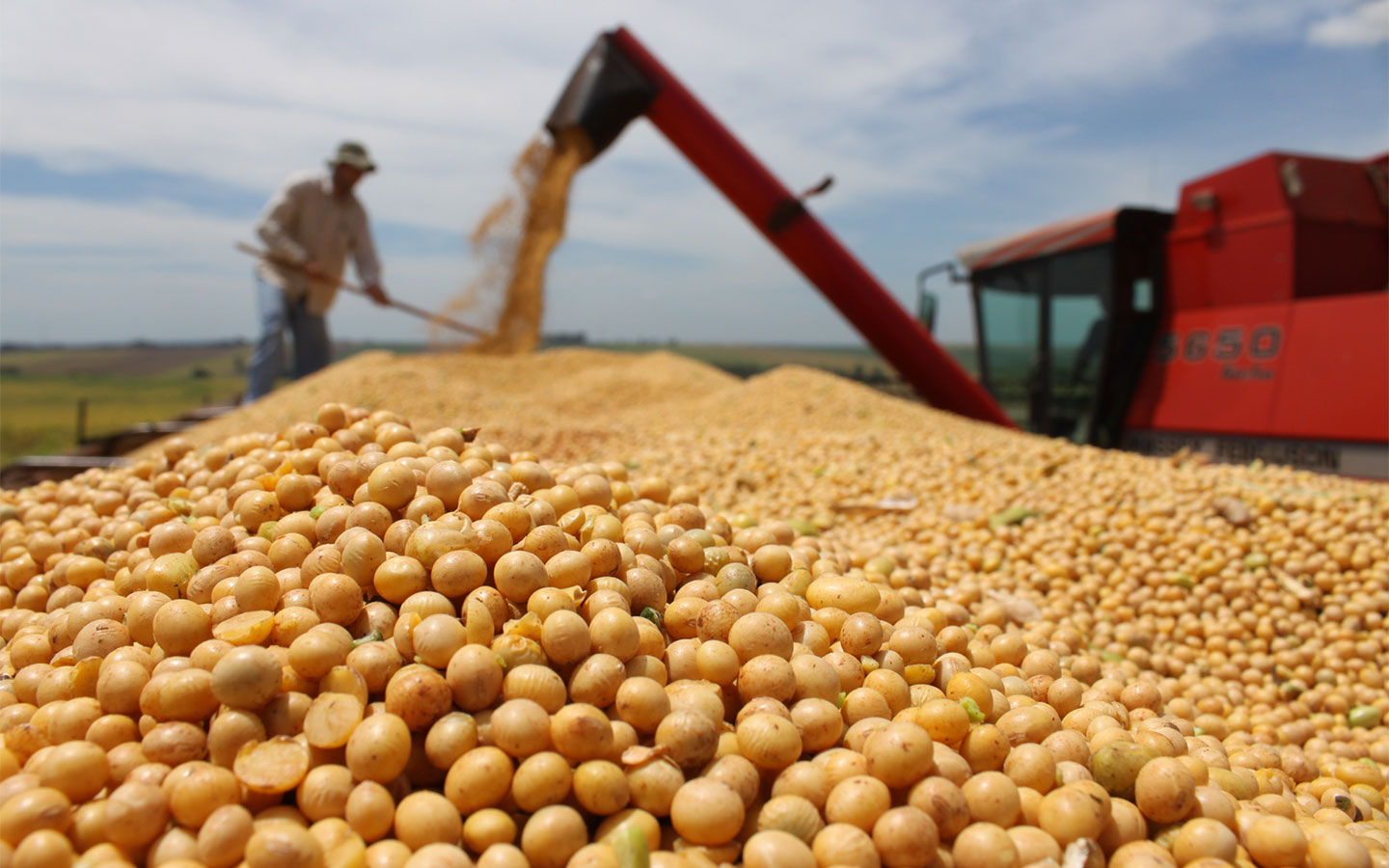China’s imports of Brazilian soybeans have surged in the first six months of the year