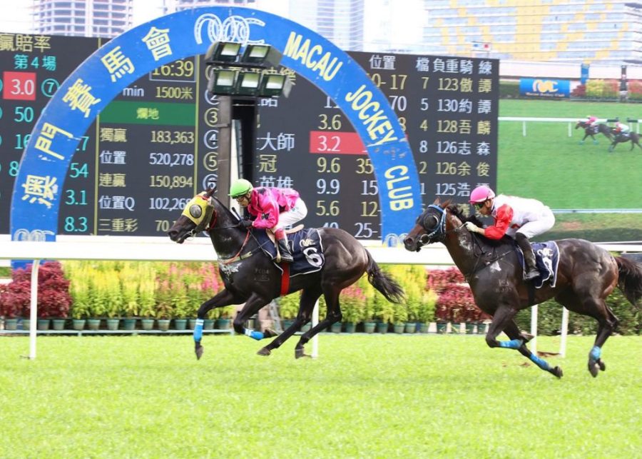 Macao’s beleaguered jockey club awaits approval for next season’s racing schedule