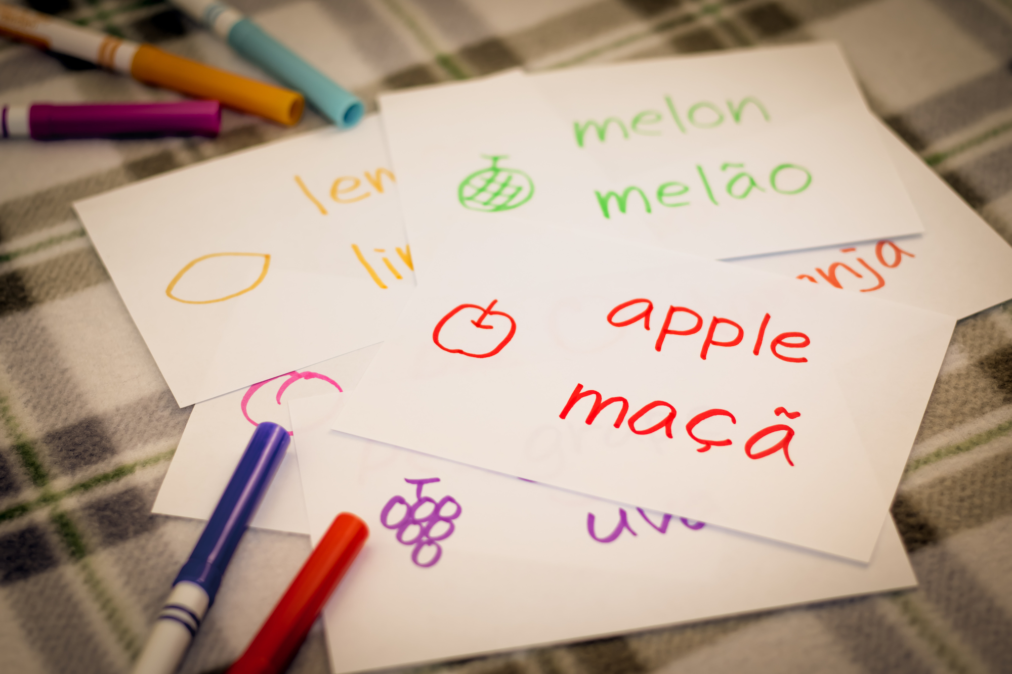 Macao schools Portuguese language