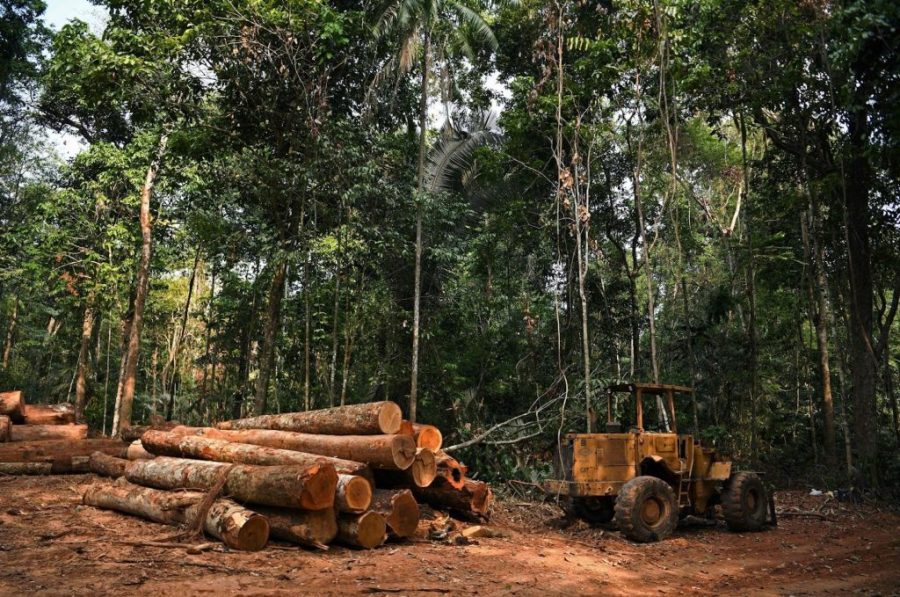 Deforestation in the Brazilian Amazon hits six-year low