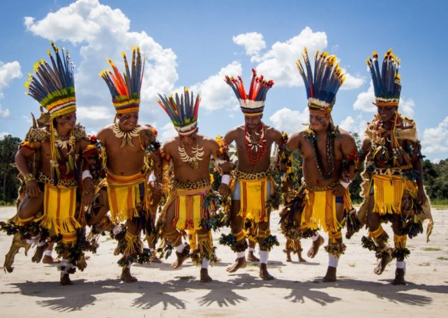 Census reveals 1.69 million indigenous people in Brazil – almost twice 2010’s count