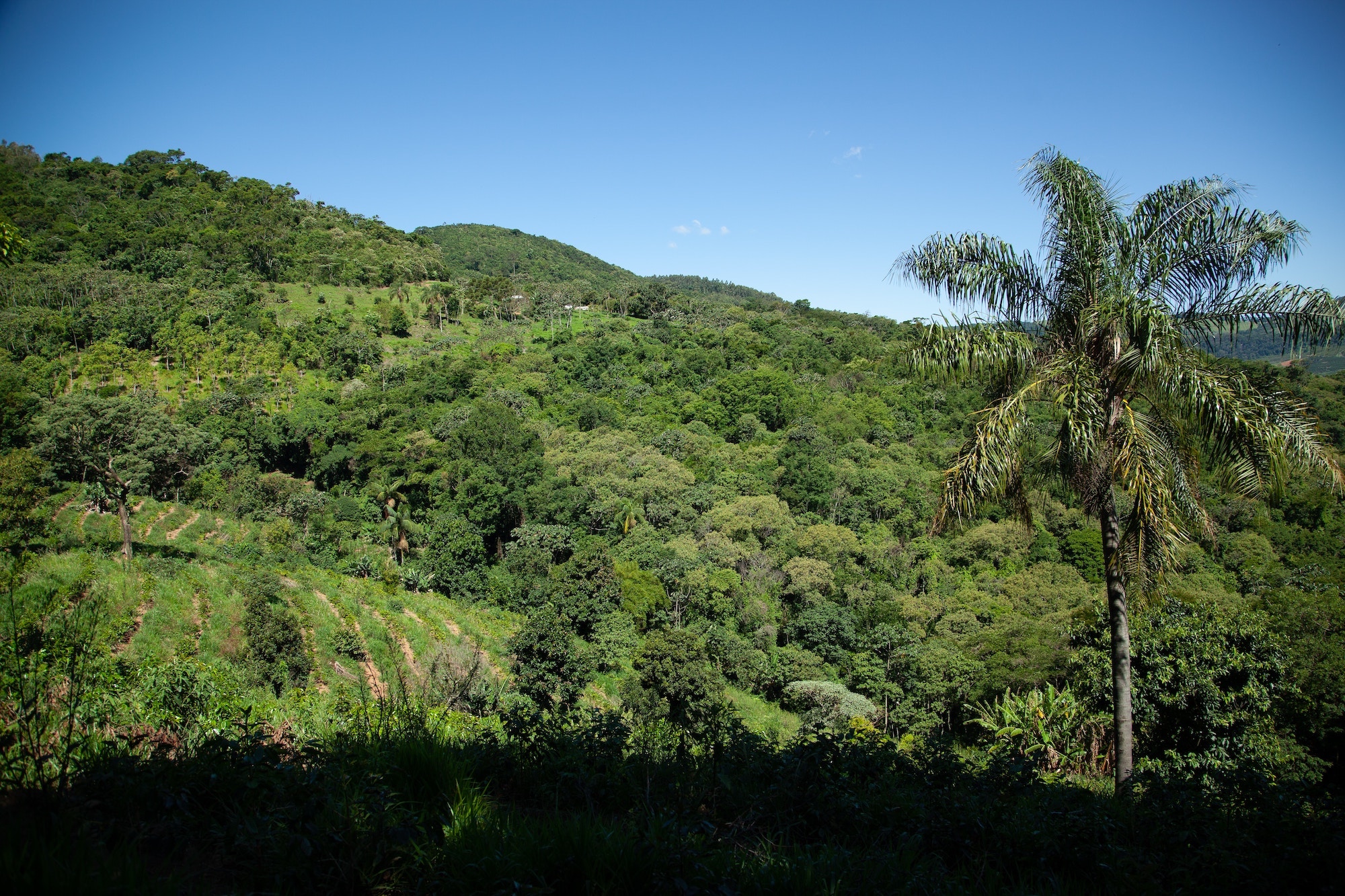 Temperatures in parts of Brazil are exceeding global warming projections